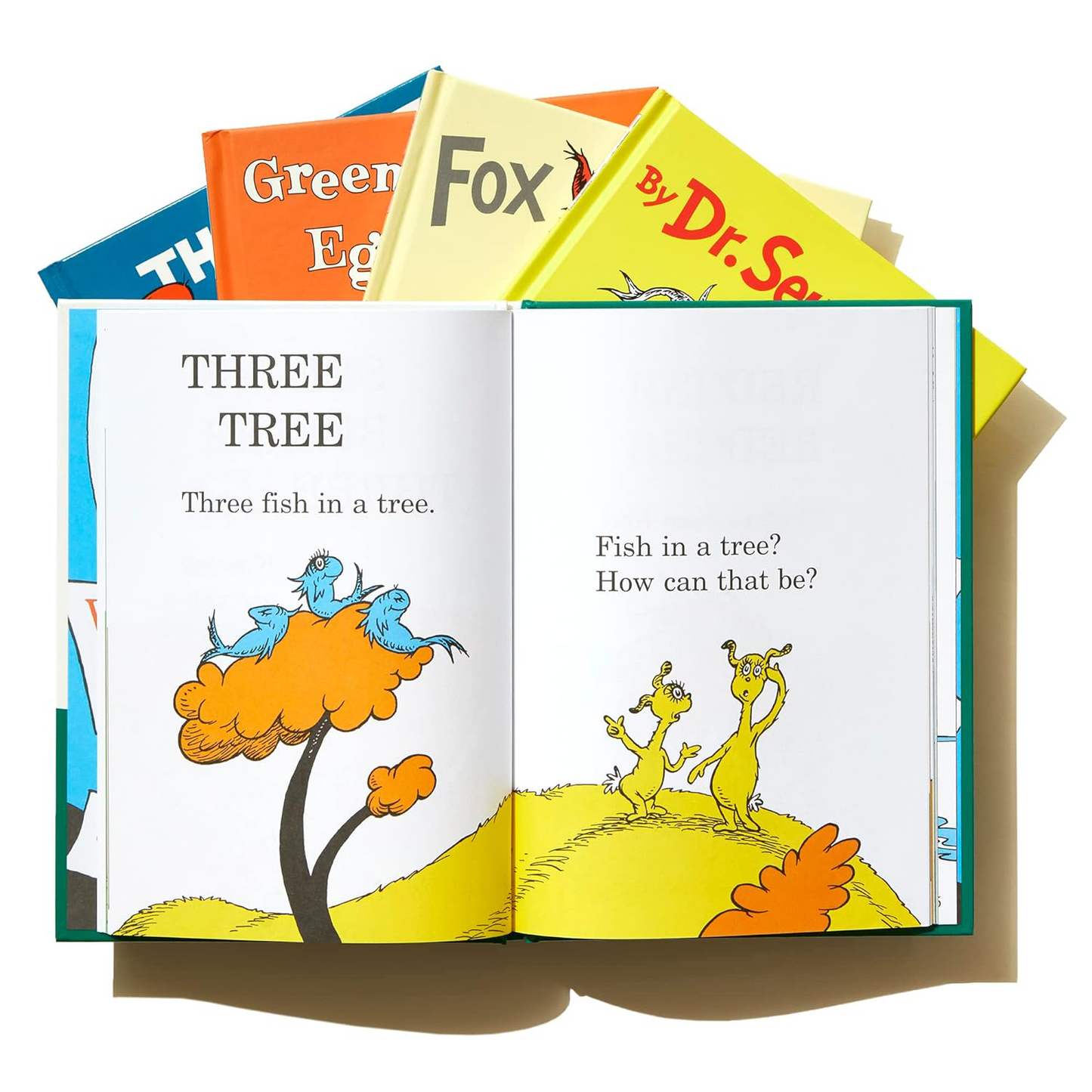 Dr. Seuss's Beginner Book Boxed Set Collection